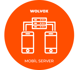  AKINSOFT WOLVOX MOBİL SATIŞ (SERVER)